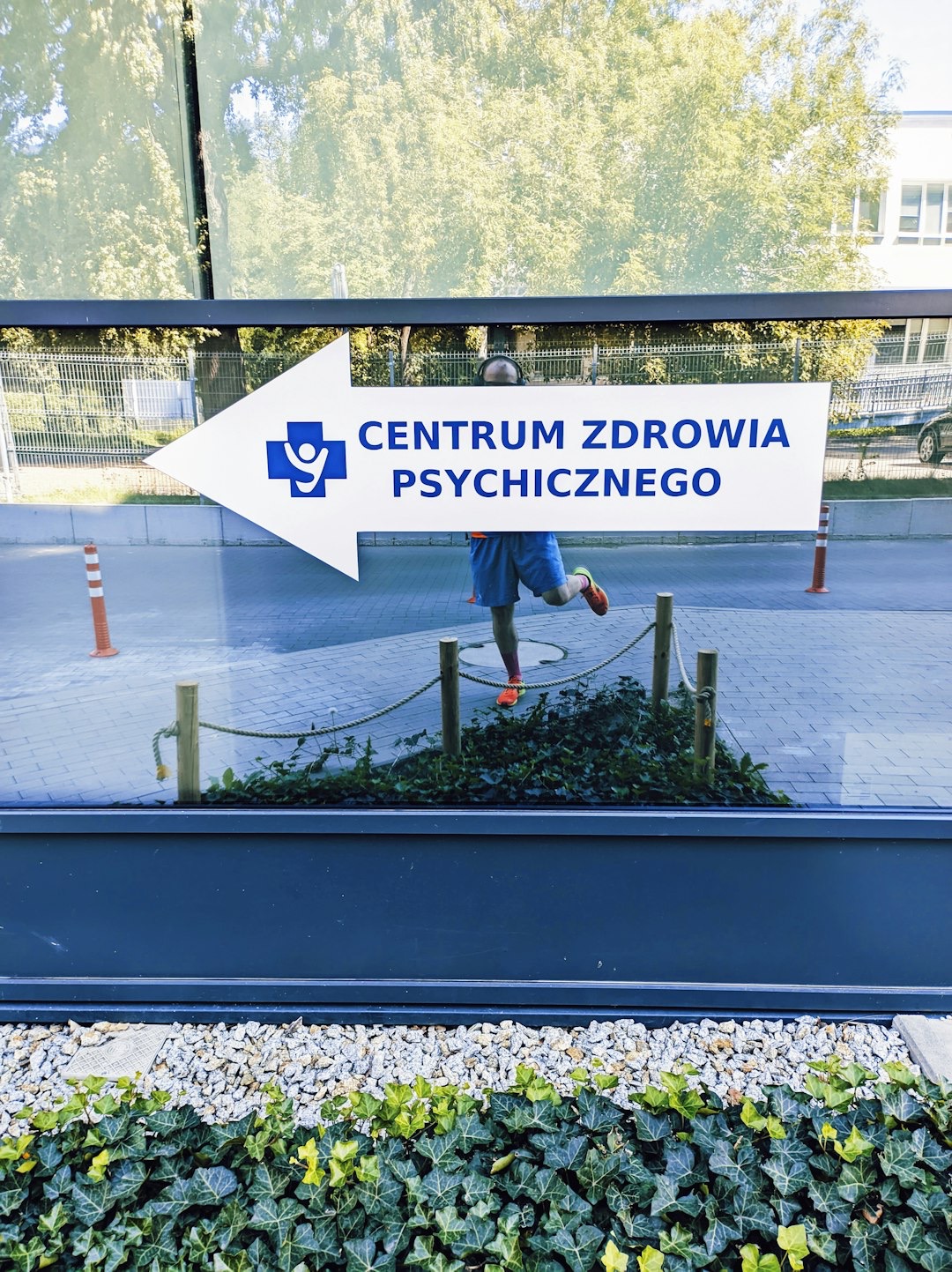 Profesjonalna pomoc psychologiczna: konsultacja psychologiczna a psychoterapia